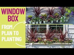 How many plants will fit?