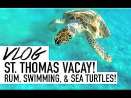 Rum + Sea Turtles + St. Thomas = BEST VACATION EVER!