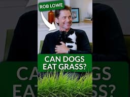 Rob Lowe vs Dog Trivia Challenge—Can Dogs Eat Grass?!