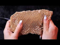 ASMR Satisfying Crispy Honeycomb Crushing (No Talking)