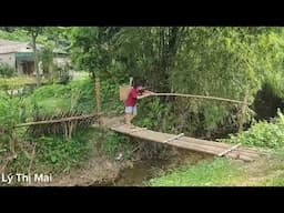 Lý Thị Mai | Trải nghiệm câu cá suối cùng người dân địa phương