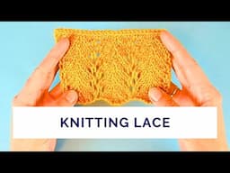 Lace Stitch Pattern for the Live Workshop