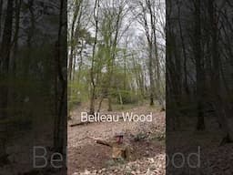 Belleau wood!