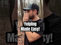 Fix Your Yelp! EASY 3 Step System! Eliminate Bad Habits and Sound Like a Real Hen #turkeymouthcalls