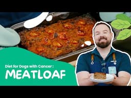 Feeding Dogs with Cancer: Easy Homemade Meatloaf Diet