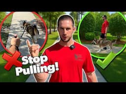 The Leash Pulling FIX I Use With Every Client!