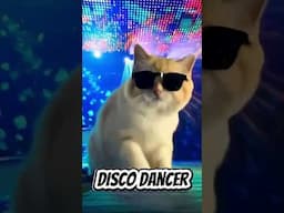5 hidden identities of your cat that You Never Knew!