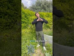 My new song is out now 🌿 Green Love to you! 💚 #song #music #garden
