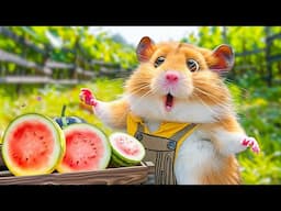 Hamster Escapes from the Fruity Jelly Maze | Hamster Maze