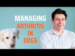 Managing Arthritis in dogs
