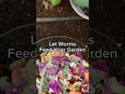 Feed Your Soil Without Fertilizer
