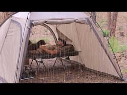 Solo Camping in Heavy Rain with My Dog . Thunderstorm . Cozy Relaxing in the Tent ASMR