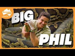 A perfect python...with a genius name 🐍😆 | Australia Zoo Life