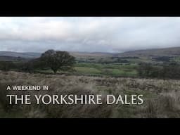 Yorkshire Dales Vlog | Red Squirrels Galore!