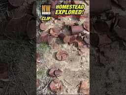 Lost Homestead Found - But Fuel’s Running Low! #shorts