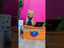 si me llamas feo, tendrás que escuchar lo que te voy a decirsh 😹🫵