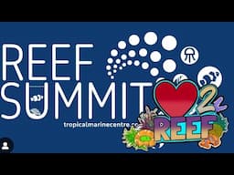 Love 2 Debrief - Reporting Back On Our Week on the Road | The Prestige Reef Dork Show Ep 94