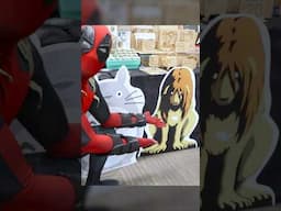 Does anyone want to adopt a dog? 🐶 #fullmetalalchemist #deadpool #cosplay