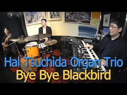 Bye Bye Blackbird (先日のライブ&同時ライブ配信動画)
