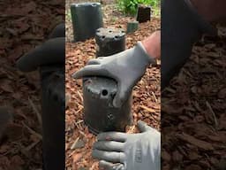Spring Mulching Hack! | Spring Planting: Smart Way To Upcycle Nursery Pots in The Garden #gardentips