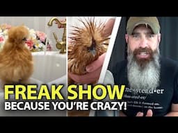 The Homestead Freak Shows Are Here!