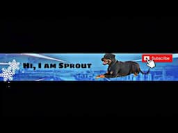 SPROUT IS LIVE - Happy New Year