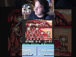 🤷‍♂️ SOMETIMES SPAMMING WORKS...🤷‍♂️#donkeykong #donkeykong94 #nintendoswitchonline #nso
