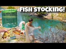 Stocking BAIT PEN With TONS Of FISH!!