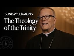 The Theology of the Trinity - Bishop Barron's Sunday Sermon
