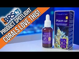 Aquaforest Polyp-Up Supercharges Coral Feeding!