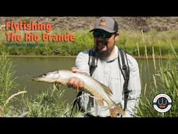 Fly Fishing The Rio Grande with Norm Maktima #flyfishing #newmexico #riogrande