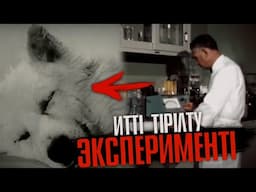 ӨЛГЕН ИТТІҢ БАСЫН ҒАНА ТІРІЛТУ МҮМКІН БЕ?! / СҰМДЫҚ ЭКСПЕРИМЕНТ | QRF