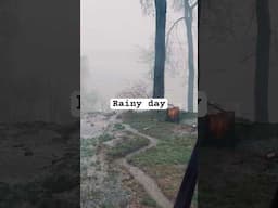 Rainy day 🌧️☔️ #rain #rainsounds #shorts #shortvideo #relaxing
