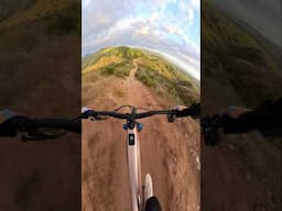 Bike rides are so fun! #mtb