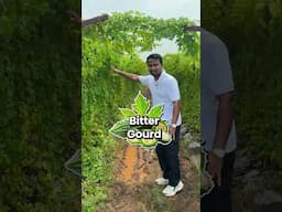 Time बचाओ, पैसा बचाओ - Smart खेती करो⏱️💰 #indianfarmer #shorts