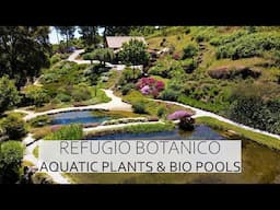 AQUATIC PLANTS & BIO POOLS, PROPERTY TOUR OF REFUGIO BOTANICO IN CENTRAL PORTUGAL