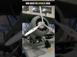 The Curtiss Model 68 Hawk III used by the Nationalist Chinese Air Force In WWII