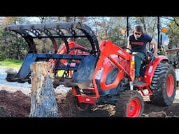 Brutal Stump Removal with Compact Tractor (Kioti CK2610)