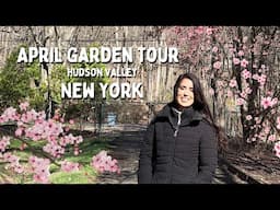 Early April Garden Tour  🌸🌱 First Signs of Life in My New York Garden