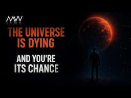 The Universe Is Dying – But Life Might Be Its Last Hope