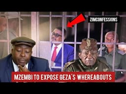 Chabvondoka Mzembi arrested days after meeting Mnangagwa, Forced To Expose Geza's Whereabouts