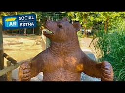 Black Forest Child's Bear Chair, ca. 1900 | ANTIQUES ROADSHOW Social Extra