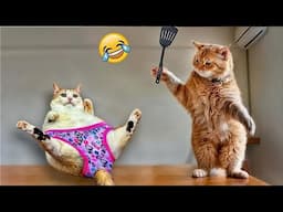 You Laugh You Lose 😍Best Funniest Cats and Dogs 2024 😸🐶