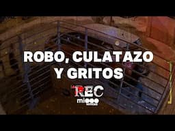 ROBO, CULATAZO Y GRITOS - RESCATA AL PERRITO - #REC