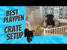 The Perfect Puppy Playpen and Crate Solution for Your New Puppy