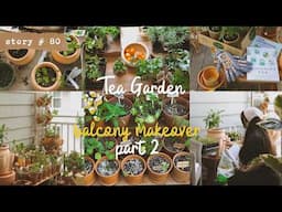 Creating a Tea Garden in My Small Balcony | Medicinal Plants in Containers | Balcony Makeover Part 2
