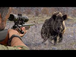DANGEROUS MONSTER BOARS: 42 Unbelievable Shots in 21 Minutes! (TOP HUNTS)