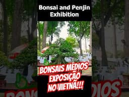 Medium Size Bonsai Exhibition in Vietnam #shorts