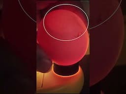 Candling Amelia's eggs (hatch to order episode 3)  #chickens #chickenkeeping #chicks