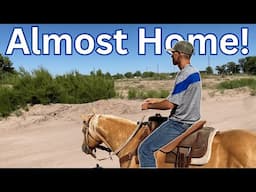 He's Finally Coming Back to the Farm! (Blake Update + Hambre News!)